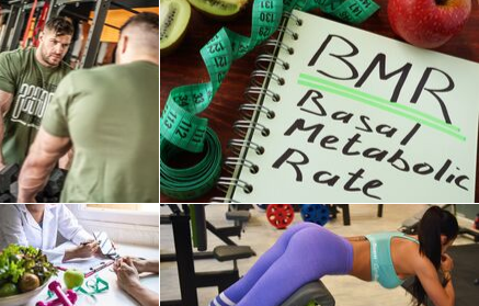 Što je bazalni metabolizam i kako izračunati BMR?